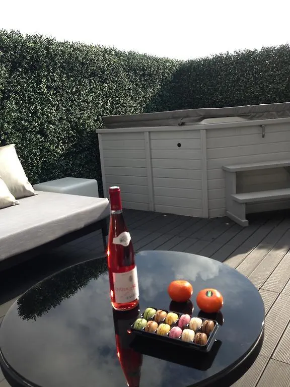 Penthouse With Jacuzzi On The Big Terrace Appartement Cannes