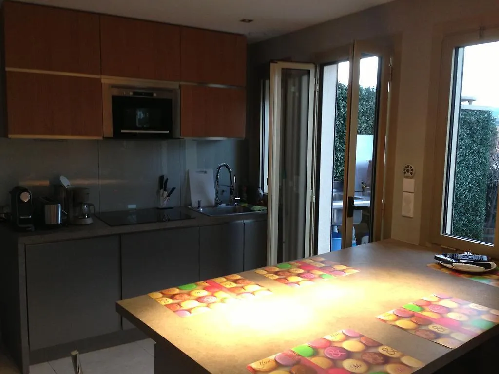 Penthouse With Jacuzzi On The Big Terrace Appartement Cannes